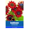 *SEED SUNFLOWER EVENING SUN