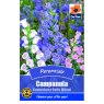 *SEED CAMPANULA CANTERBURY