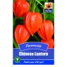 SEED CHINESE LANTERN