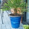 Apta Chamberlain Tall Balmoral Cone Planter