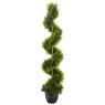 TOPIARY TWIRL CYPRESS 120CM