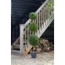 Faux Decor Topiary Tree Trio