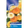 SEED CALENDULA KINGLET MIX