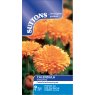 SEED CALENDULA ORANGE KING