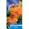 SEED CALENDULA PORCUPINE