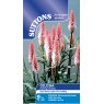 SEED CELOSIA FLAMINGO FEATHER