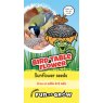 SEED FUN TO GROW SUNFLOWER