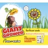 SEED FUN TO GROW GIANT SUNFLOWER