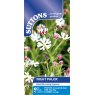 SEED PHLOX NIGHT FLOWERING
