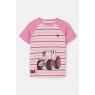 Lighthouse   Lighthouse Causeway T-Shirt Sweet Pea Tractor