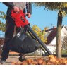 Einhell Electric Leaf Blower/Vac 3000w