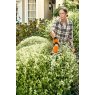 Stihl Stihl Cordless Shrub/Grass HSA26 Shears