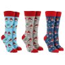 SOCK XMAS ROBINS SOCIETY