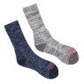 SOCK MERINO WOOL 2PK L NVY/GRY