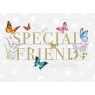 *CARD SPECIAL FRIEND FEL