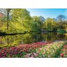 *CARD FLOWERS BY LAKE PICTURE THIS
