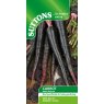 SEED CARROT BLACK NEBULA