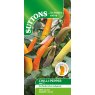 SUTTONS Suttons Chilli Pepper Jazz F1 Seed