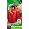 SEED CHILLI PEPPER SIZZLER F1