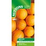 SUTTONS Suttons Melon Ginger Seed