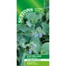 SUTTONS Suttons Oyster Leaf Seed