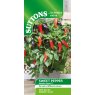 SEED SWEET PEPPER MAMBA F1