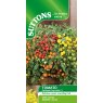 SEED TOMATO RAINBOW DROPS MIX F1