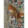 *XMAS CARD ROBIN ON GATE LOCK N8