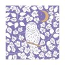 *CARD OWL EVERLEY