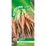 SEED CARROT DAUCUS CARRUBA F1
