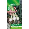 SEED ONION ALLIUM CEPA STARLIGHT SEED ONION ALLIUM CEPA STARLIGHT