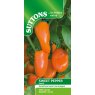 SEED SWEET PEPPER CAPSICUM HAMIK