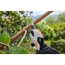 Stihl Stihl ASA20 Cordless Secateurs Kit