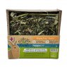 TREAT HERBAL FORAGING TRAY