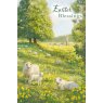 *CARD EASTER SHEEP IN FIELD 31