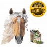 JIGSAW HORSE 300PC MADD CAPP
