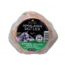 Lincoln Himalayan Salt Lick