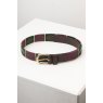BELT ASKWITH XS OLIVE/BERRY/WHITE