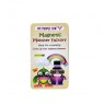 University Games Magnetic Travel Game