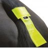 HY Equestrian HyViz Tail Band