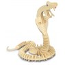 Quay Snake Wooden Craft Kit
