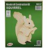Quay Squirrel Wooden Craft Kit
