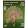 Quay Parrot Wooden Craft Kit