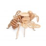 Quay Bumblebee Wooden Craft Kit