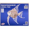 Quay Angel Fish Wooden Craft Kit