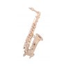 Quay Saxophone Wooden Craft Kit