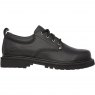 TRAINER TOM CATS