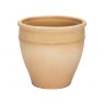 PLANTER HIMALAYA