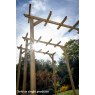 Forest Garden Forest Garden Hanbury Flat Top Arch