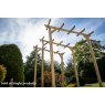 Forest Garden Forest Garden Hanbury Flat Top Arch